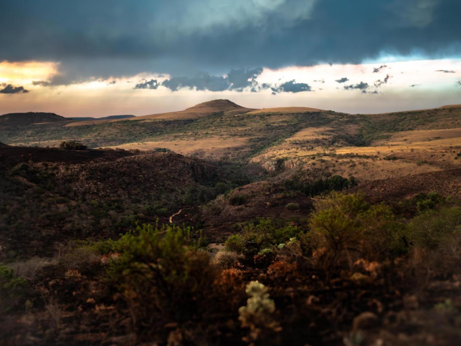 Riverbed Africa Lydenburg Camera foto