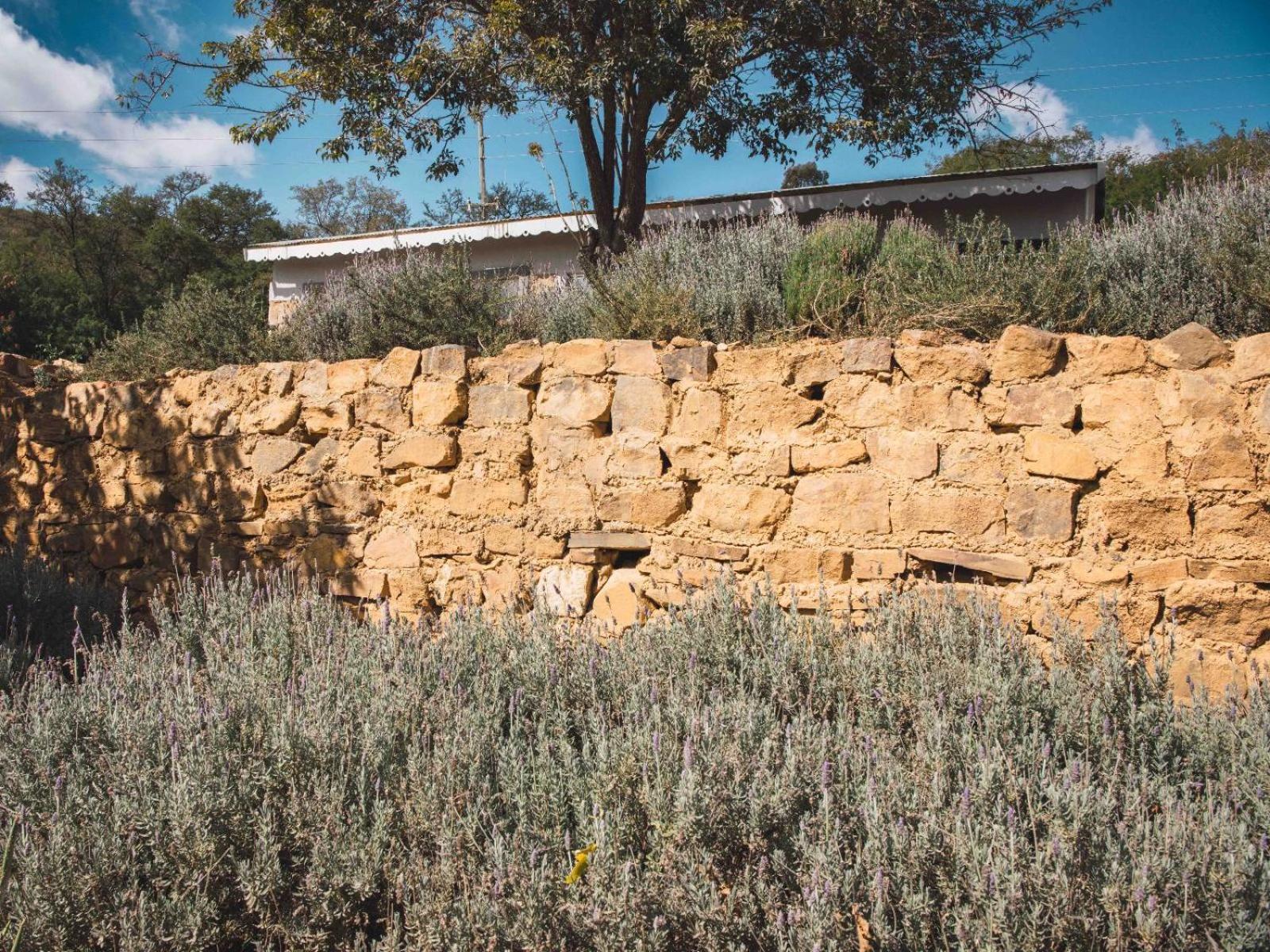 Riverbed Africa Lydenburg Esterno foto