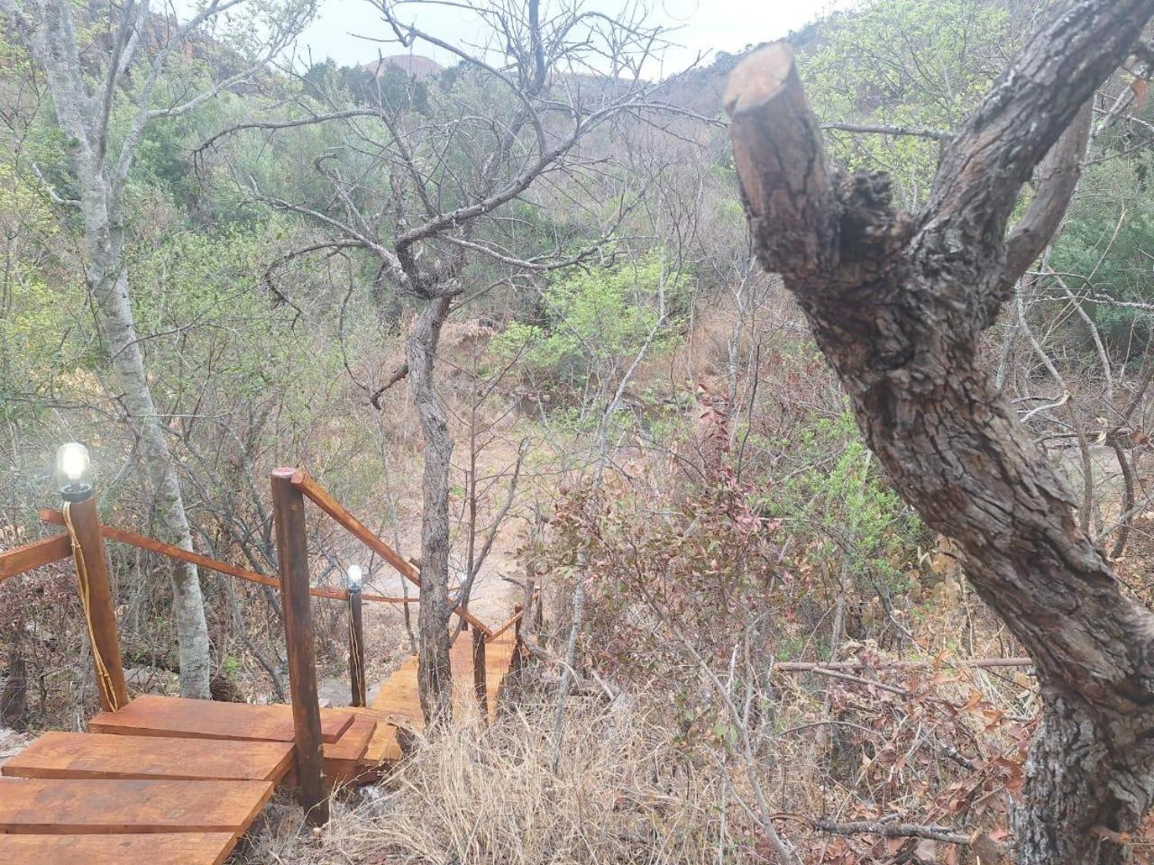 Riverbed Africa Lydenburg Camera foto